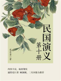 蔡东藩经典历史小说：民国演义（10）