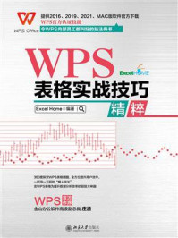 WPS表格实战技巧精粹