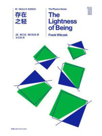 第一推动丛书·物理系列:存在之轻(新版)