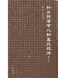 新出魏晋南北朝墓志疏证