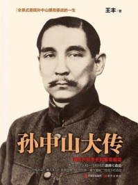 孙中山大传