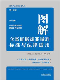 图解立案证据定罪量刑标准与法律适用（第十四版·第一分册）