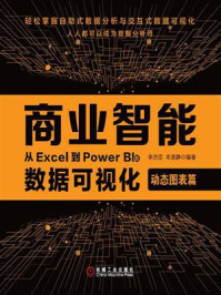 商业智能：从Excel到Power BI的数据可视化.动态图表篇