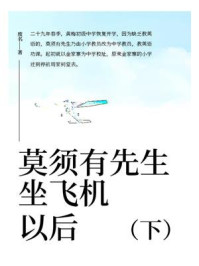 莫须有先生坐飞机以后（下）