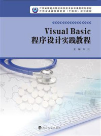 Visual，Basic程序设计实践教程