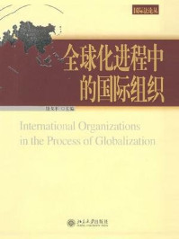 全球化进程中的国际组织