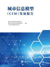 城市信息模型（CIM）发展报告
