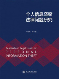 个人信息盗窃法律问题研究