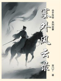 杀手传奇（17）：塞外风云录