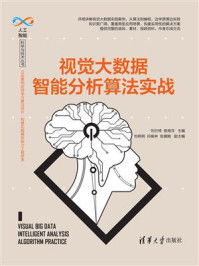 视觉大数据智能分析算法实战