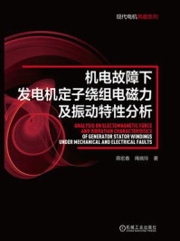 机电故障下发电机定子绕组电磁力及振动特性分析