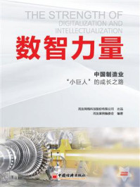 数智力量:中国制造业“小巨人”的成长之路