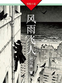 风雨飞人