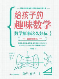 给孩子的趣味数学：数学原来这么好玩：因数和因式