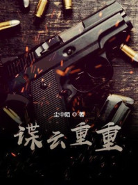 谍云重重