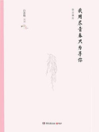 我用尽青春只为寻你(精装版)