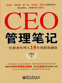 CEO管理笔记：18年的职场感悟