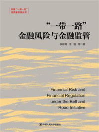 “一带一路”金融风险与金融监管