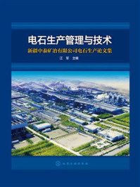电石生产管理与技术：新疆中泰矿冶有限公司电石生产论文集