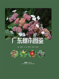 广东树木图鉴
