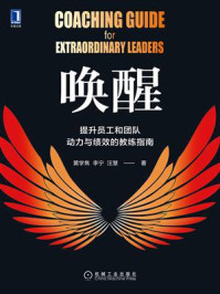 唤醒：提升员工和团队动力与绩效的教练指南
