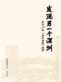 发现另一个深圳：深圳78街“全景画像”龙华