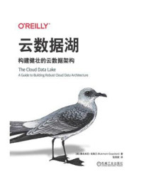 云数据湖:构建健壮的云数据架构