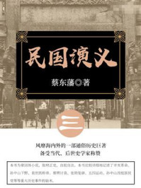 蔡东藩经典历史小说：民国演义（3）