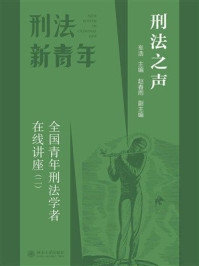 刑法之声：全国青年刑法学者在线讲座（2）
