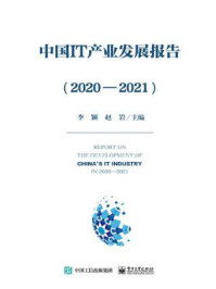 中国IT产业发展报告(2020—2021)