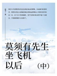莫须有先生坐飞机以后（中）