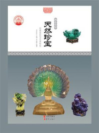 天然珍宝