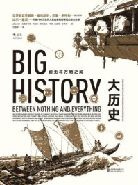 大历史(虚无与万物之间)