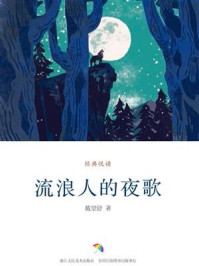 流浪人的夜歌(经典悦读)