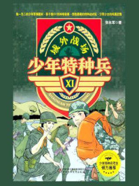 域外战场(少年特种兵XI)