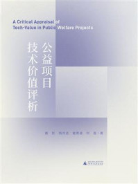 公益项目技术价值评析