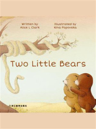 Two Little Bears 两只小熊