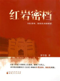 红岩密档：B类（敌特、叛徒类）档案解密