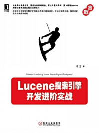 Lucene搜索引擎开发进阶实战