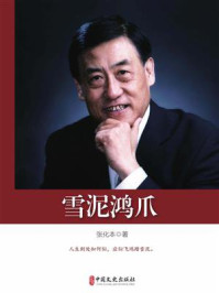 雪泥鸿爪