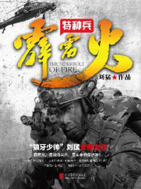 特种兵之霹雳火