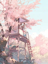 协议到期，总裁哭着求我续约