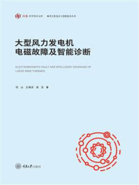 大型风力发电机电磁故障及智能诊断