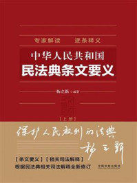 中华人民共和国民法典条文要义（上册）