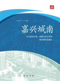 嘉兴城南：从马家浜文化、南湖人民公社到成为现代化城区