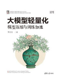 大模型轻量化：模型压缩与训练加速