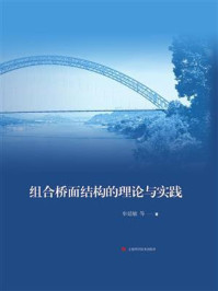 组合桥面结构的理论与实践