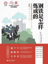 《钢铁是怎样炼成的》名著整本书阅读测评