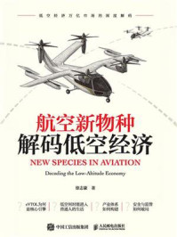 航空新物种:解码低空经济