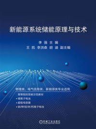 新能源系统储能原理与技术